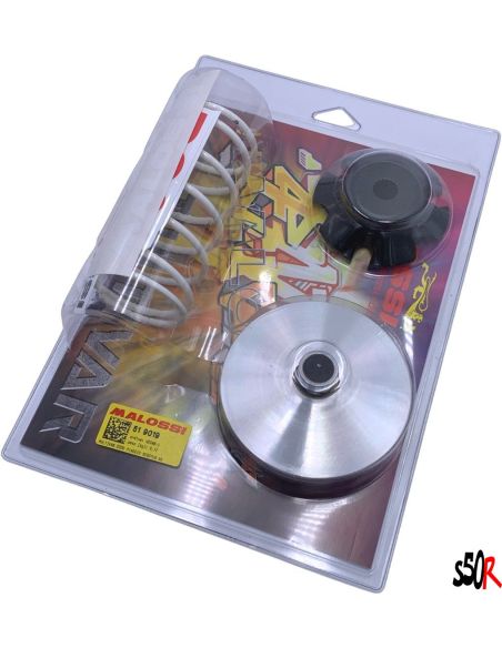 variateur malossi multivar piaggio-gilera-vespa 2T