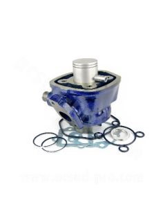 Moteur CARENZI type origine mbk yamaha horizontale liquide 2t