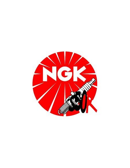 BOUGIE NGK BR8ES