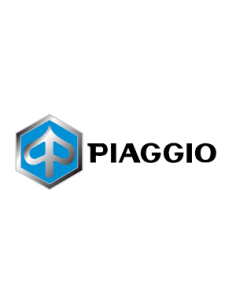 carter kick Piaggio Zip 2t 2