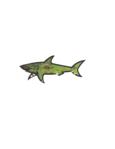 Autocollant Requin 3D 35-Scoot 50 Racing