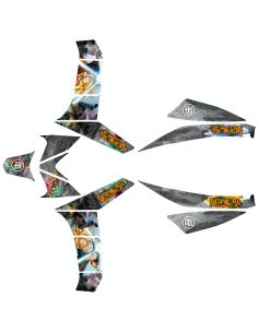 Kit déco typhoon n °15