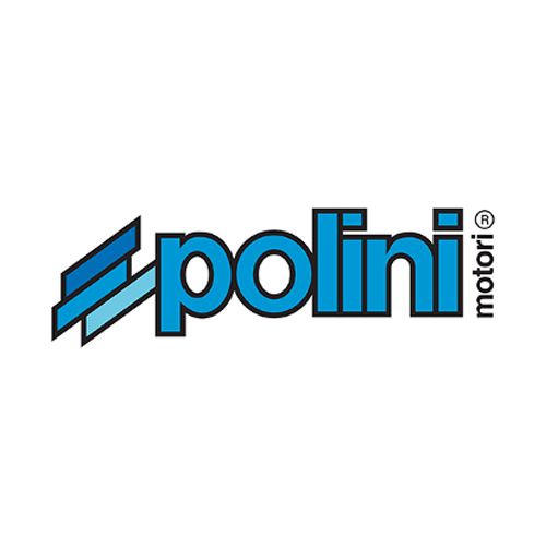 POLINI